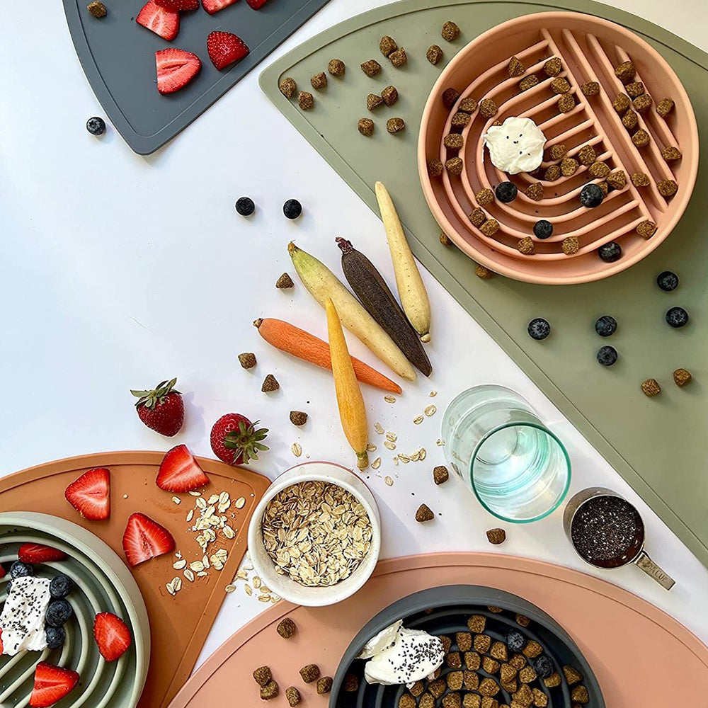 Overhead view of Collarva slow feeder bowls with kibble, wet food, fruit, and enrichment toppings