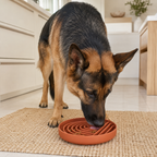 German shepherd eating from a Terracotta Collarva slow feeder dog bowl
