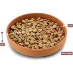 Terracotta Collarva slow feeder dog bowl filled with kibble, showing its two-cup capacity