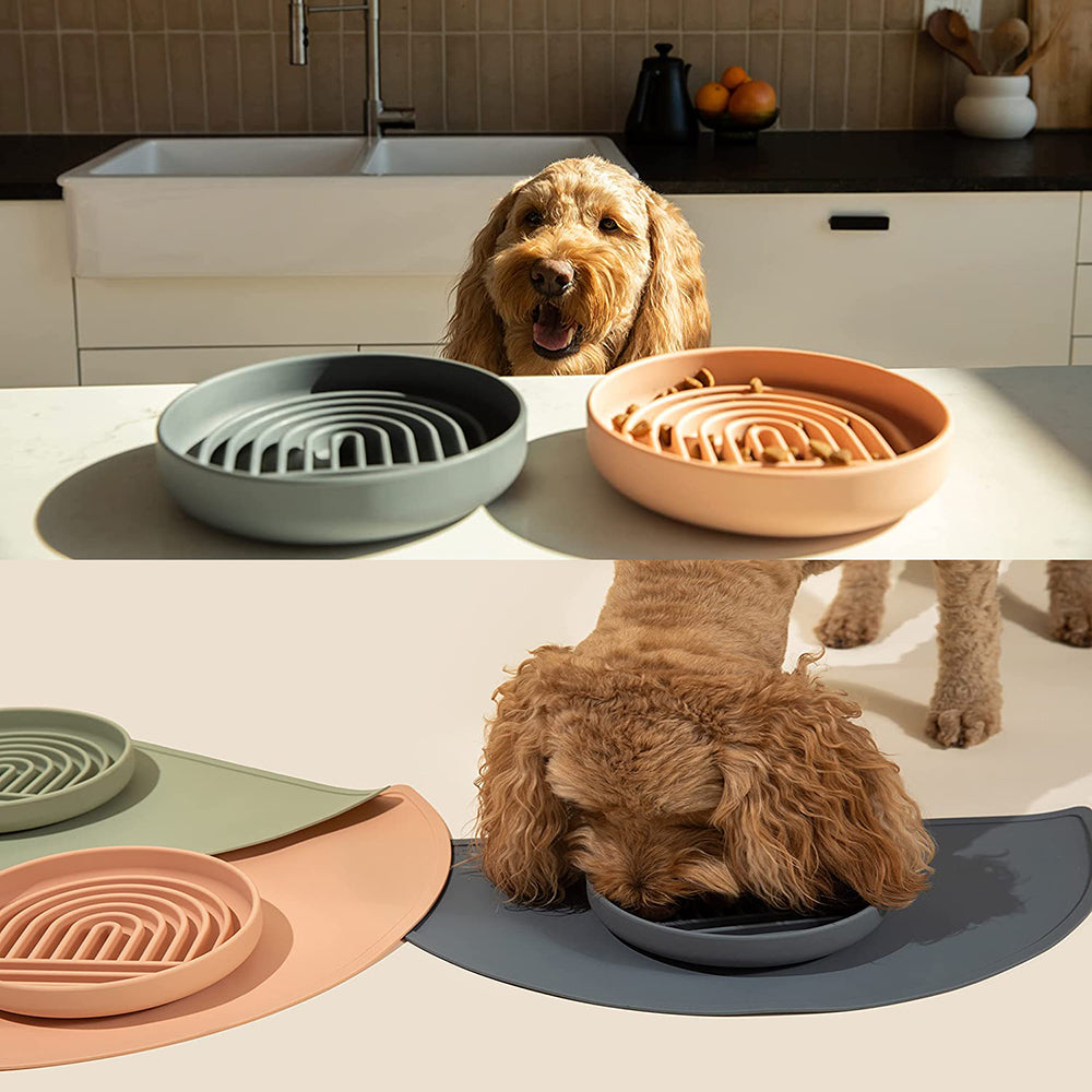 Slow Feeder Dog Bowl