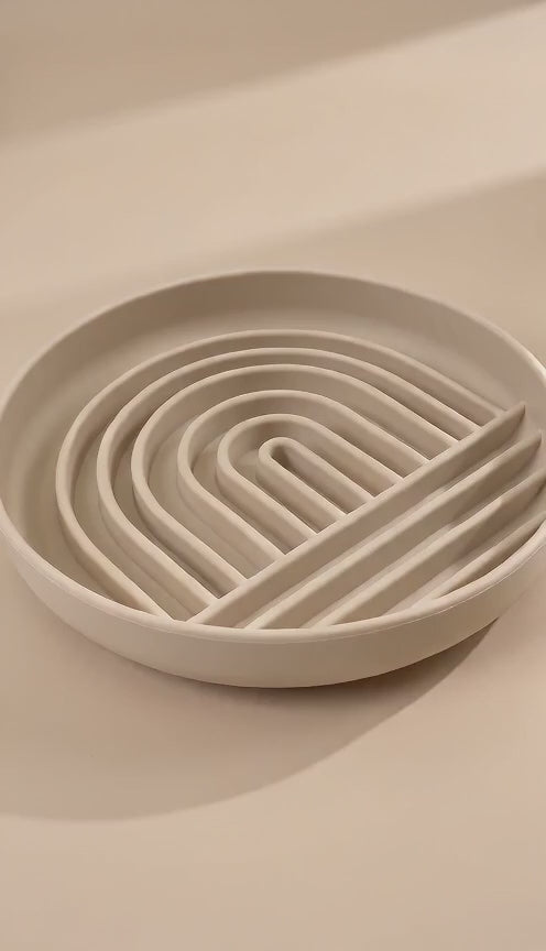 Slow Feeder & Licking Enrichment Dog Bowl