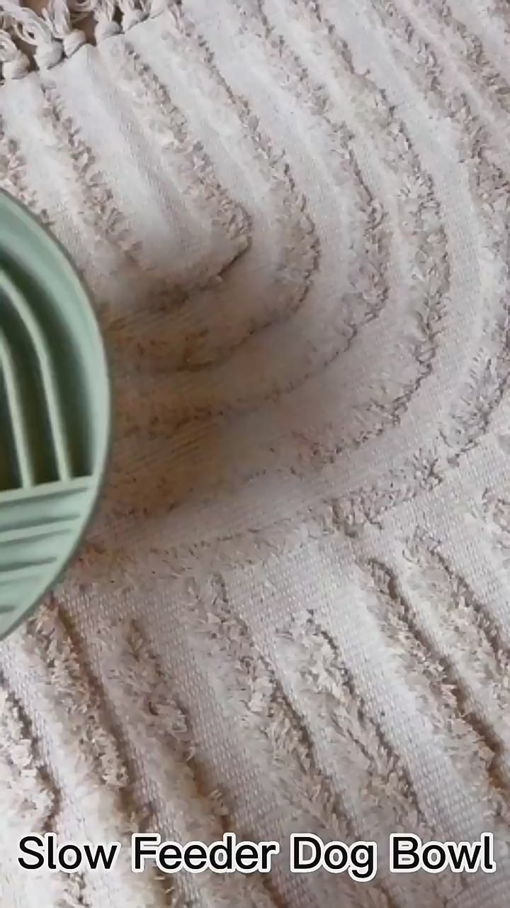 Slow Feeder Dog Bowl
