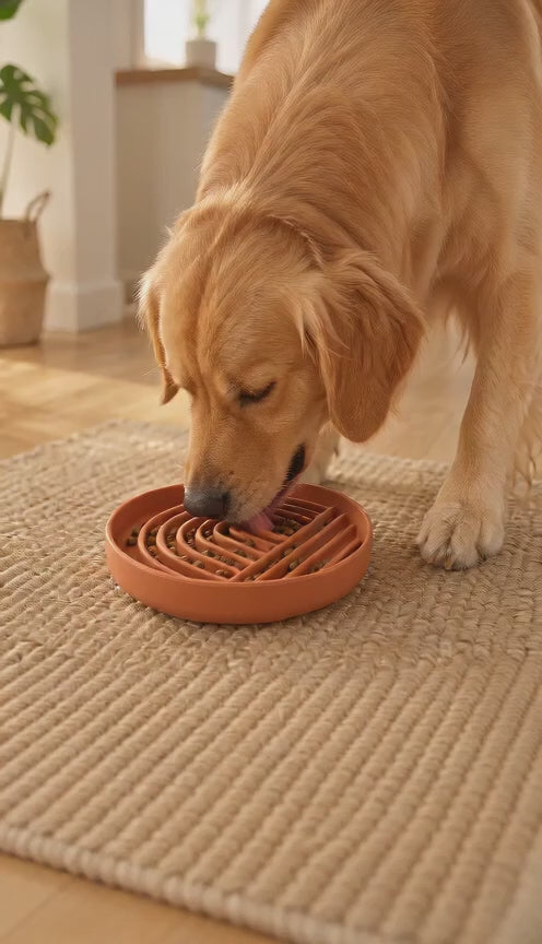 Slow Feeder & Licking Enrichment Dog Bowl