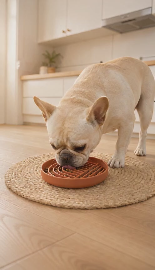 Slow Feeder & Licking Enrichment Dog Bowl